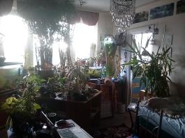 1_winter_2024-2025IMG_20250129_131837