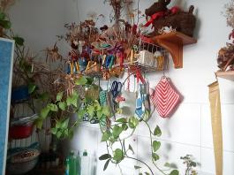 1_winter_2024-2025IMG_20250129_131907