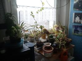 1_winter_2024-2025IMG_20250129_131916