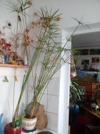 1_winter_2024-2025IMG_20250129_131924