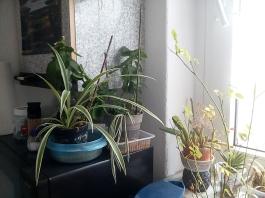 1_winter_2024-2025IMG_20250129_131934
