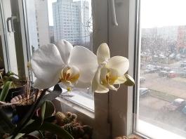 1_winter_2024-2025IMG_20250131_121712