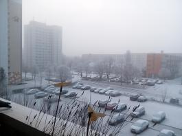 1_winter_2024-2025IMG_20250202_084951