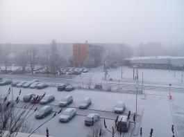 1_winter_2024-2025IMG_20250202_084955