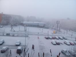 1_winter_2024-2025IMG_20250202_084959