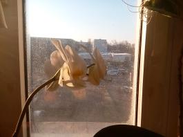 1_winter_2024-2025IMG_20250203_090031