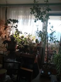 1_winter_2024-2025IMG_20250203_151458