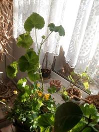1_winter_2024-2025IMG_20250203_151514