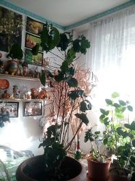 1_winter_2024-2025IMG_20250203_151614