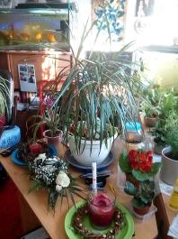 1_winter_2024-2025IMG_20250203_151647