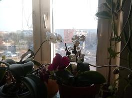 1_winter_2024-2025IMG_20250203_151655