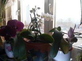 1_winter_2024-2025IMG_20250210_152444