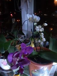 1_winter_2024-2025IMG_20250210_181536