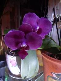 1_winter_2024-2025IMG_20250210_181549