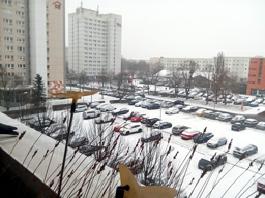 1_winter_2024-2025IMG_20250213_115238_kl
