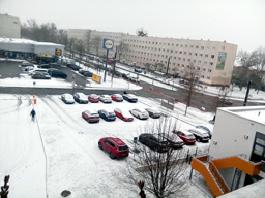 1_winter_2024-2025IMG_20250213_115248_kl