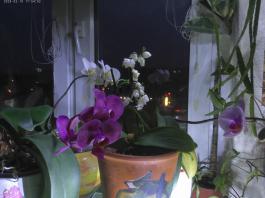 This photo is taken by AllWinner's v3-sdv