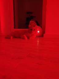 20191223_214438