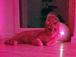20191223_214438_kl
