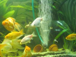 DIMG_6801