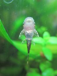 DIMG_6818