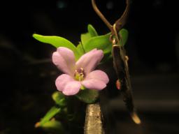 DIMG_6843