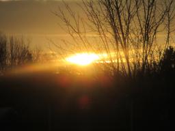 DIMG_6902