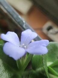 DIMG_6910