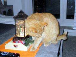 IMG_2299_kl