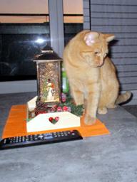 IMG_2300_kl