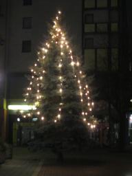 IMG_2632
