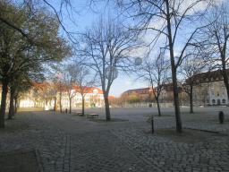 XIMG_1183