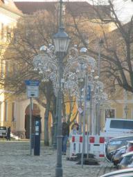 XIMG_1185