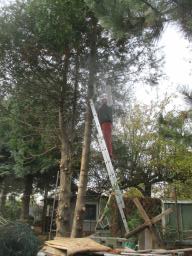 XIMG_1304