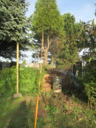 XIMG_1317