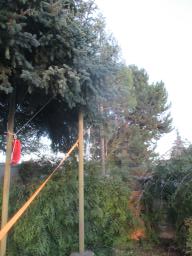 XIMG_1335