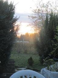XIMG_1350