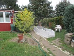 XIMG_1380