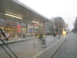 XIMG_1737
