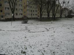 XIMG_1740
