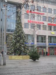 XIMG_1755