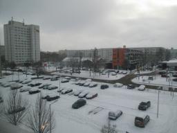 XIMG_2106