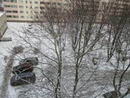 XIMG_2110