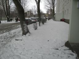 XIMG_2114