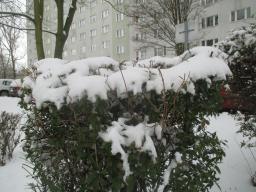 XIMG_2116