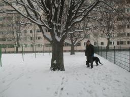XIMG_2120