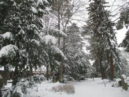 XIMG_2140