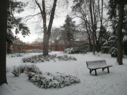 XIMG_2145