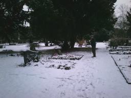 Digital Camera