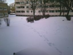 Digital Camera